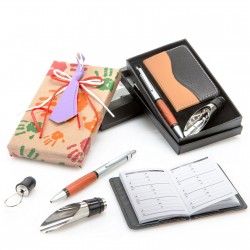 Set agenda+boli+antigoteo