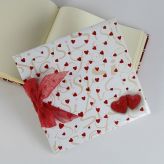 Bolsa Individual de 187 ml